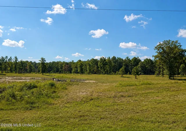 4th image of 568 Ac +/- Industrial Park Rd, Leakesville, MS 39451 | MLS# 4158488