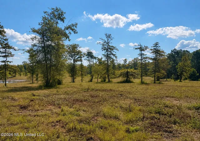 5th image of 568 Ac +/- Industrial Park Rd, Leakesville, MS 39451 | MLS# 4158488