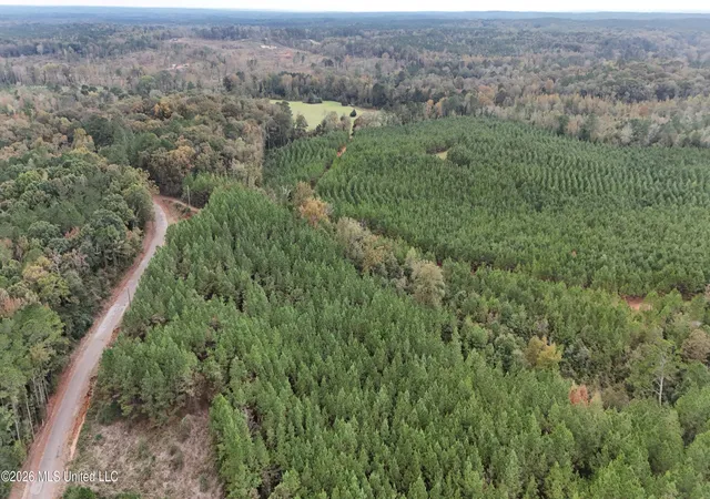 Land for sale at 0 Remus Rd, Carthage, MS 39051 | MLS# 4158416