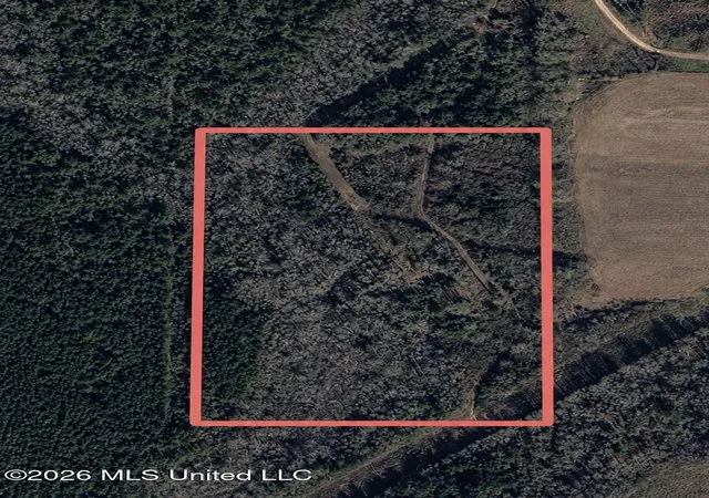Photo 3 of Land for sale at Scr 11a, Bay Springs, MS 39422 | MLS# 4158418 | Listing updated on 2026-08-08
