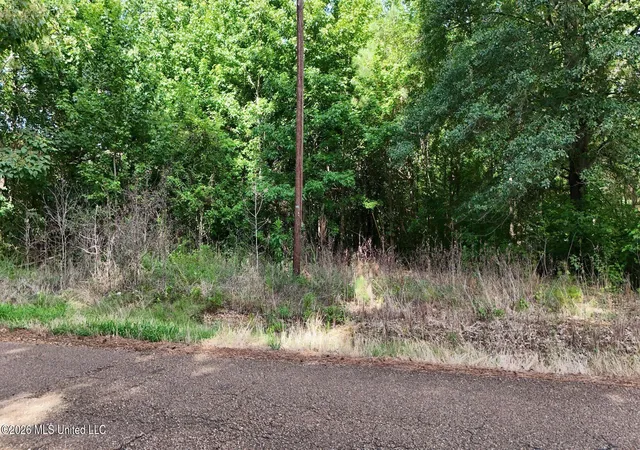 Photo 4 of Land for sale at 1400 Kelly Xing Rd, Coldwater, MS 38618 | MLS# 4158429 | Listing updated on 2026-08-07