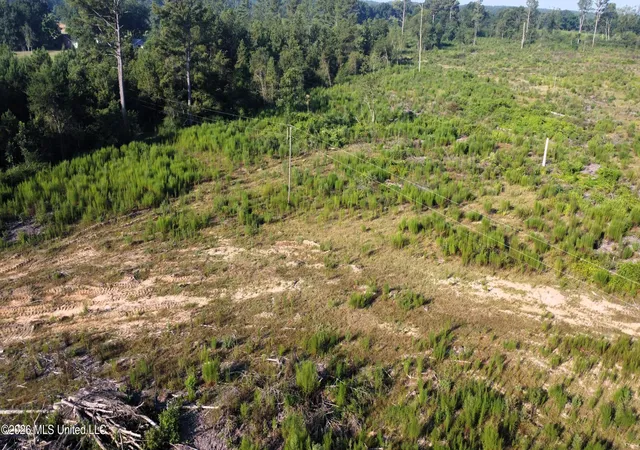 Photo 2 of Land for sale at Ebenezer Rd, Columbia, MS 39429 | MLS# 4158424 | Listing updated on 2026-08-07