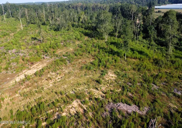 Photo 3 of Land for sale at Ebenezer Rd, Columbia, MS 39429 | MLS# 4158424 | Listing updated on 2026-08-07