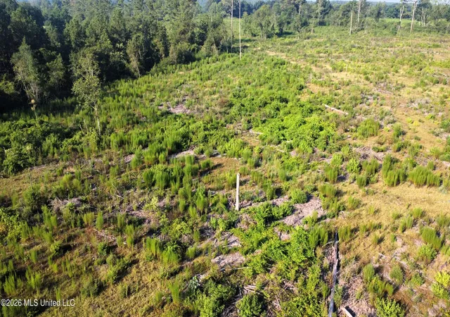 Photo 4 of Land for sale at Ebenezer Rd, Columbia, MS 39429 | MLS# 4158424 | Listing updated on 2026-08-07