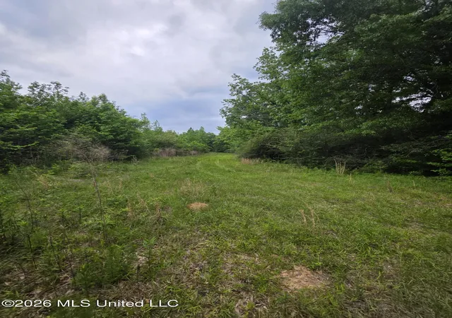 Photo 1 of Land for sale at 1542 Wellman Dr, Brookhaven, MS 39601 | MLS# 4158621 | Listing updated on 2026-08-09