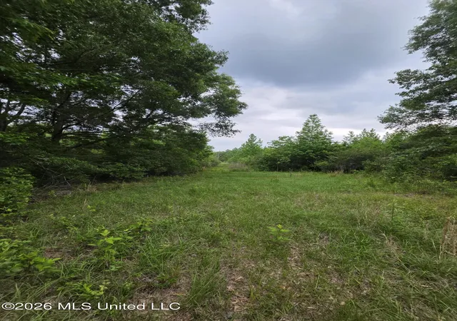 Photo 2 of Land for sale at 1542 Wellman Dr, Brookhaven, MS 39601 | MLS# 4158621 | Listing updated on 2026-08-09