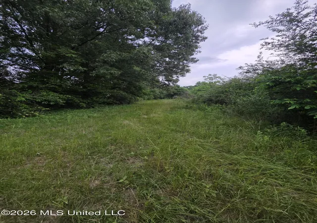 Photo 3 of Land for sale at 1542 Wellman Dr, Brookhaven, MS 39601 | MLS# 4158621 | Listing updated on 2026-08-09