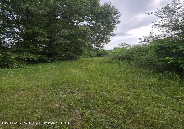 Photo 3 of Land for sale at 1542 Wellman Dr, Brookhaven, MS 39601 | MLS# 4158621 | Listing updated on 2026-08-09