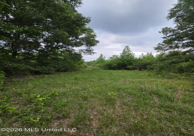 Photo 4 of Land for sale at 1542 Wellman Dr, Brookhaven, MS 39601 | MLS# 4158621 | Listing updated on 2026-08-09