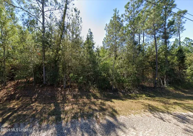 2nd image of 27025 Deer Ln, Perkinston, MS 39573 | MLS# 4158463