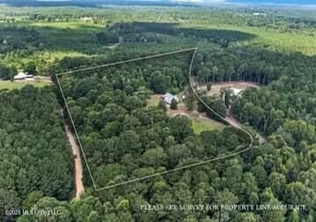 Photo 50 of Single family home for sale at 87 Dinan Church Rd, Tylertown, MS 39667 | MLS# 4158544 | Listing updated on 2026-09-05