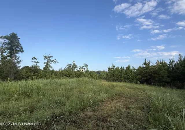 Photo 1 of Land for sale at Co Rd 4102, Sallis, MS 39160 | MLS# 4158863 | Listing updated on 2026-08-11