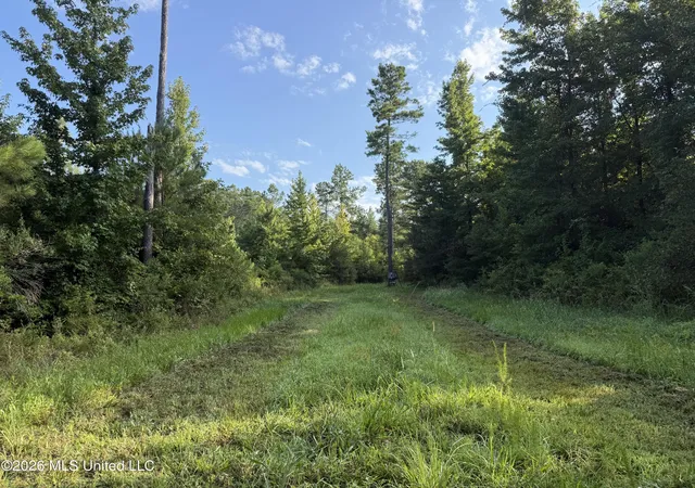 Photo 2 of Land for sale at Co Rd 4102, Sallis, MS 39160 | MLS# 4158863 | Listing updated on 2026-08-11