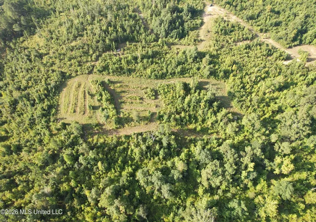 Photo 3 of Land for sale at Co Rd 4102, Sallis, MS 39160 | MLS# 4158863 | Listing updated on 2026-08-11
