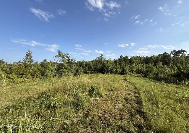 Photo 3 of Land for sale at Co Rd 4102, Sallis, MS 39160 | MLS# 4158863 | Listing updated on 2026-08-11