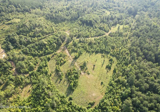 Photo 4 of Land for sale at Co Rd 4102, Sallis, MS 39160 | MLS# 4158863 | Listing updated on 2026-08-11