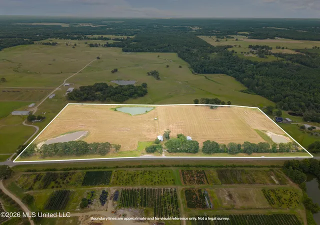 Photo 4 of Land for sale at 2578 Ms 26, Poplarville, MS 39470 | MLS# 4158518 | Listing updated on 2026-08-07