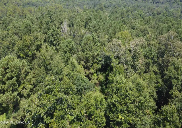 Land for sale at 31052 Pearson Cemetary Rd, Carriere, MS 39426 | MLS# 4158605