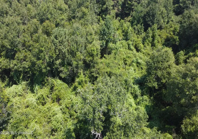 Photo 1 of Land for sale at 31052 Pearson Cemetary Rd, Carriere, MS 39426 | MLS# 4158605 | Listing updated on 2026-08-08