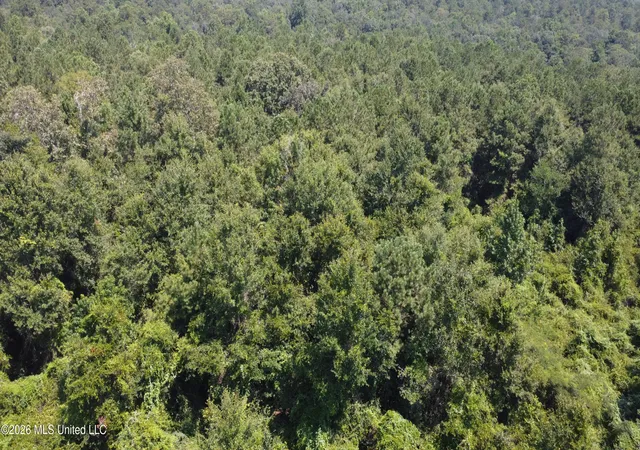 Photo 2 of Land for sale at 31052 Pearson Cemetary Rd, Carriere, MS 39426 | MLS# 4158605 | Listing updated on 2026-08-08