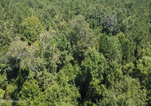 Photo 3 of Land for sale at 31052 Pearson Cemetary Rd, Carriere, MS 39426 | MLS# 4158605 | Listing updated on 2026-08-08