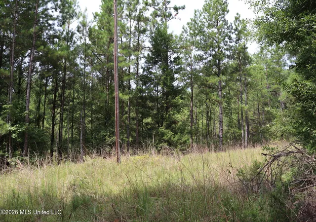 Land for sale at Sulphur Springs Rd, Camden, MS 39045 | MLS# 4158537