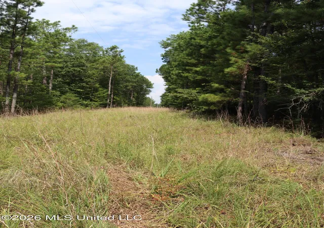 Photo 2 of Land for sale at Sulphur Springs Rd, Camden, MS 39045 | MLS# 4158537 | Listing updated on 2026-09-15