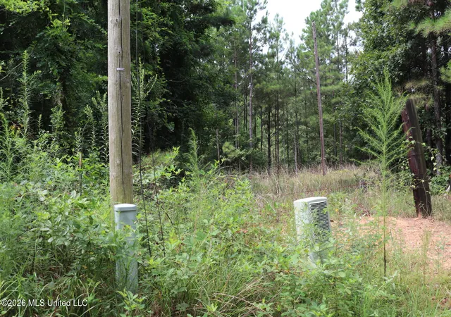 Photo 3 of Land for sale at Sulphur Springs Rd, Camden, MS 39045 | MLS# 4158537 | Listing updated on 2026-09-15