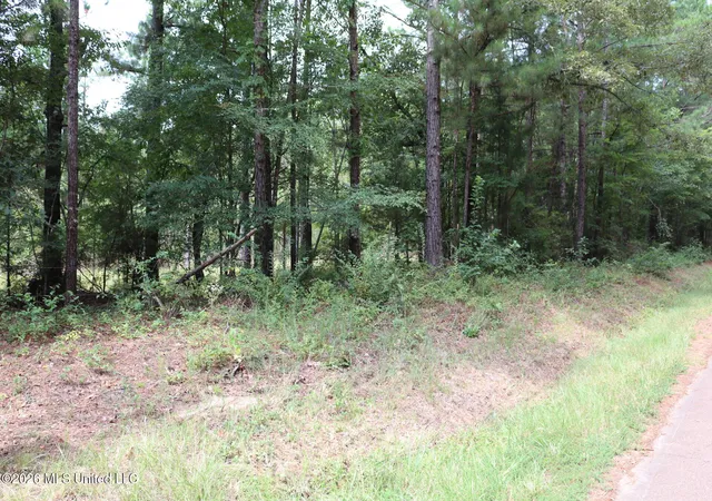 Photo 3 of Land for sale at Sulphur Springs Rd, Camden, MS 39045 | MLS# 4158537 | Listing updated on 2026-09-15