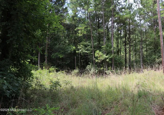 Photo 4 of Land for sale at Sulphur Springs Rd, Camden, MS 39045 | MLS# 4158537 | Listing updated on 2026-09-15