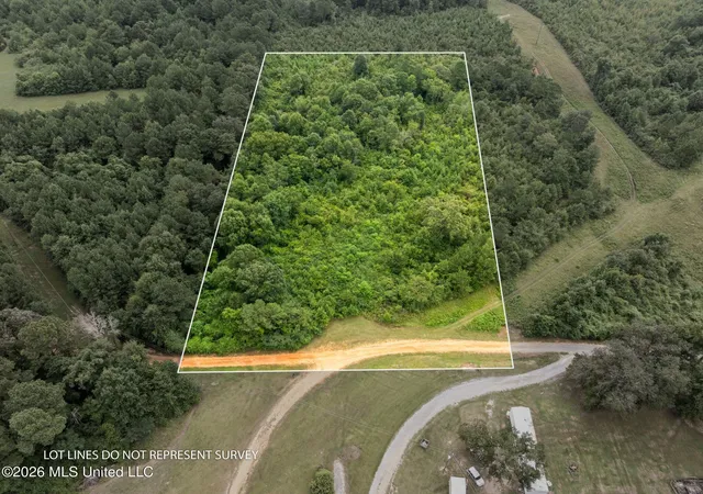 Photo 3 of Land for sale at 1 Ethel Rd, Collins, MS 39428 | MLS# 4158562 | Listing updated on 2026-08-08