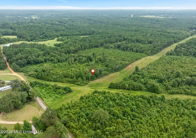 Photo 4 of Land for sale at 2 Ethel Rd, Collins, MS 39428 | MLS# 4158564 | Listing updated on 2026-08-08