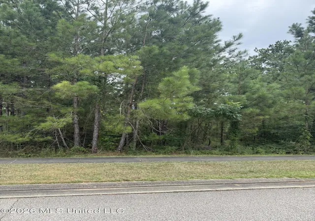 Land for sale at 42 S Of, Hattiesburg, MS 39402 | MLS# 4158585