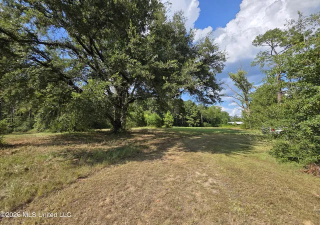 Photo 1 of Land for sale at 325 Double Ponds Rd, Prentiss, MS 39474 | MLS# 4158922 | Listing updated on 2026-08-12