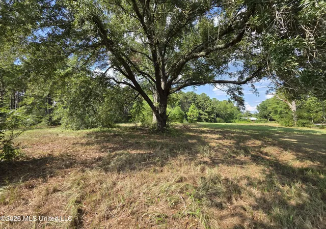 Photo 3 of Land for sale at 325 Double Ponds Rd, Prentiss, MS 39474 | MLS# 4158922 | Listing updated on 2026-08-12