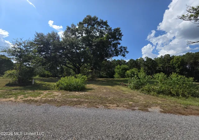Photo 3 of Land for sale at 325 Double Ponds Rd, Prentiss, MS 39474 | MLS# 4158922 | Listing updated on 2026-08-12