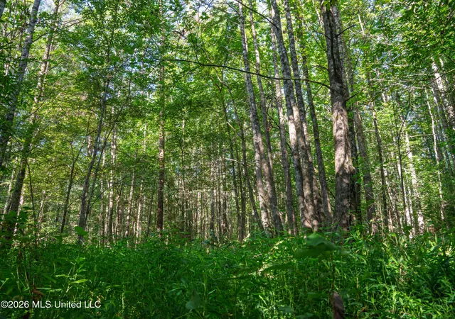 Photo 3 of Land for sale at Mississippi 12, Durant, MS 39063 | MLS# 4158634 | Listing updated on 2026-08-09