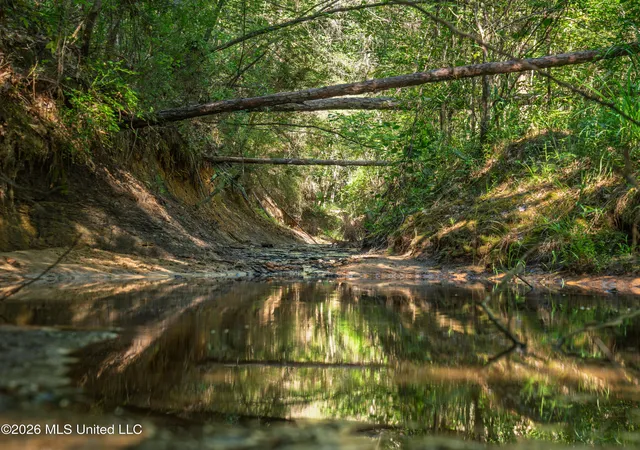 Photo 4 of Land for sale at Mississippi 12, Durant, MS 39063 | MLS# 4158634 | Listing updated on 2026-08-09
