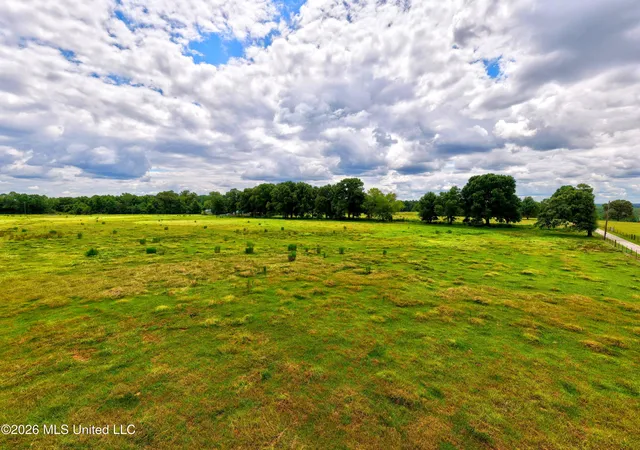 Photo 3 of Land for sale at Donovan Rd, Lucedale, MS 39452 | MLS# 4158722 | Listing updated on 2026-09-09