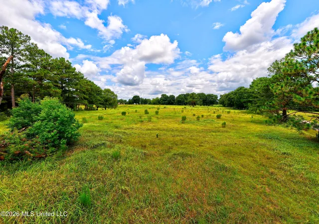 Photo 4 of Sale Pending at Donovan Rd, Lucedale, MS 39452 | MLS# 4158722 | Listing updated on 2026-09-28