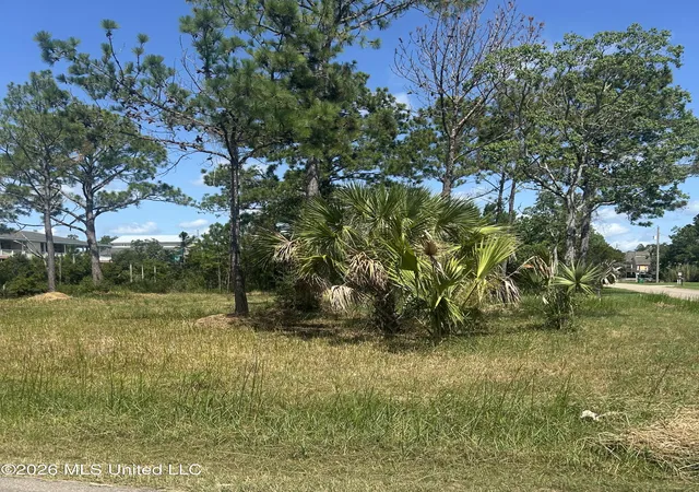 Photo 3 of Land for sale at 0 Whale Ave, Bay Saint Louis, MS 39520 | MLS# 4158646 | Listing updated on 2026-08-18