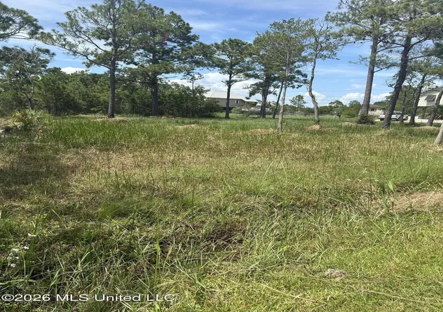 Photo 4 of Land for sale at 0 Whale Ave, Bay Saint Louis, MS 39520 | MLS# 4158646 | Listing updated on 2026-08-18