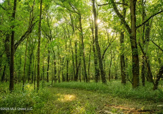 Photo 4 of Land for sale at Rockhill Rd, Starkville, MS 39759 | MLS# 4158792 | Listing updated on 2026-08-11