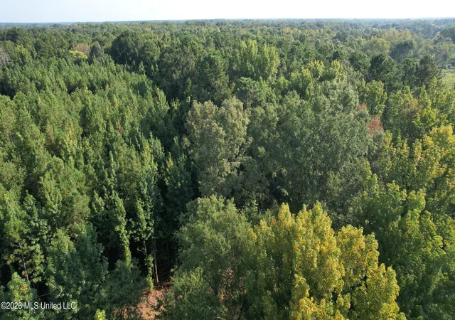 Photo 2 of Land for sale at 0 Dampeer Rd, Canton, MS 39046 | MLS# 4158672 | Listing updated on 2026-08-10