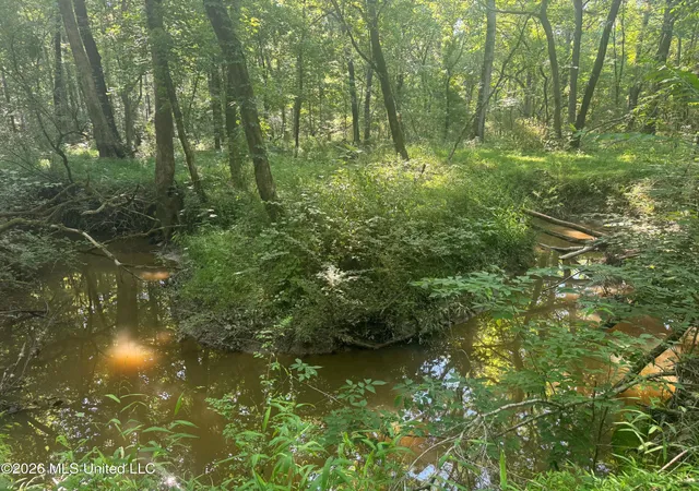 Photo 3 of Land for sale at 0 Dampeer Rd, Canton, MS 39046 | MLS# 4158672 | Listing updated on 2026-08-10