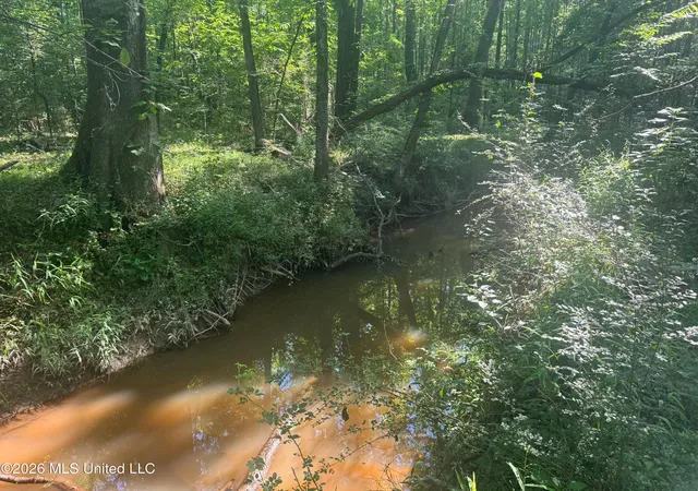 Photo 4 of Land for sale at 0 Dampeer Rd, Canton, MS 39046 | MLS# 4158672 | Listing updated on 2026-08-10