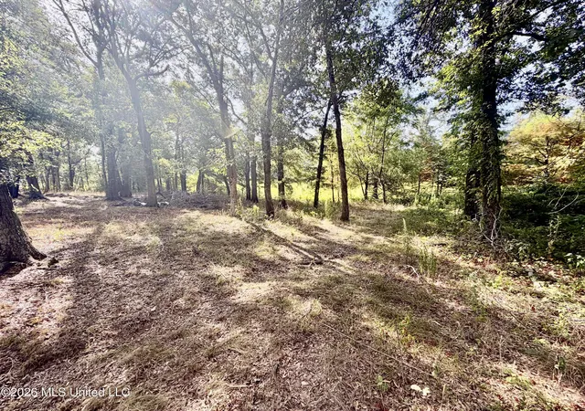 Photo 4 of Sale Pending at 322 Walker Rd, Cleveland, MS 38732 | MLS# 4159677 | Listing updated on 2026-09-08