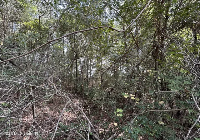 Photo 3 of Land for sale at Glenndale Dr, Lumberton, MS 39455 | MLS# 4158687 | Listing updated on 2026-08-11
