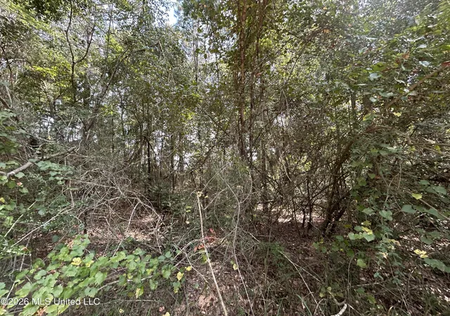 Photo 4 of Land for sale at Glenndale Dr, Lumberton, MS 39455 | MLS# 4158687 | Listing updated on 2026-08-11
