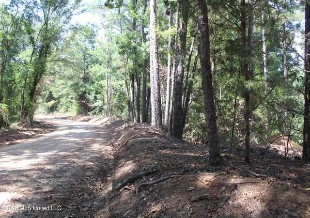 Photo 1 of Land for sale at Rosebud School Rd, Walnut Grove, MS 39189 | MLS# 4158976 | Listing updated on 2026-08-12